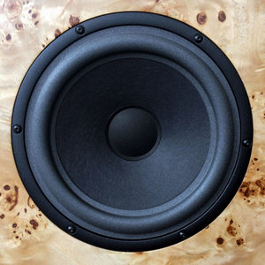 audio-note-an-e-speakers-poplar-burl.jpg