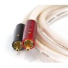 Atlas Cable Equator Achromatic RCA 1.0m, stereo linijinis kabelis
