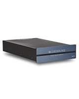 Bluesound B100S, audio media grotuvas