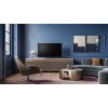 Loewe bild v.55 dr+, OLED 4K 55" premium lygio televizorius