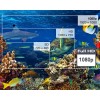 Optoma HD30LV, Full HD vaizdo projektorius